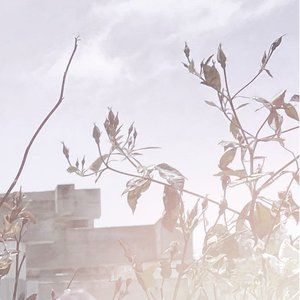 Meet your Posher, Audriauna